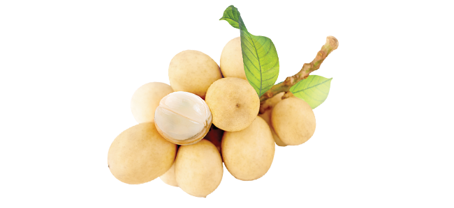 Bright Skin Putih Langsat Body Scrub 175 g